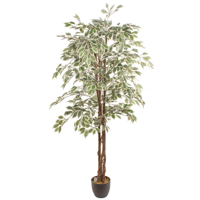 Artificial plant FICUS 1.80m